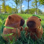 New 21cm Capybara Plush Toy