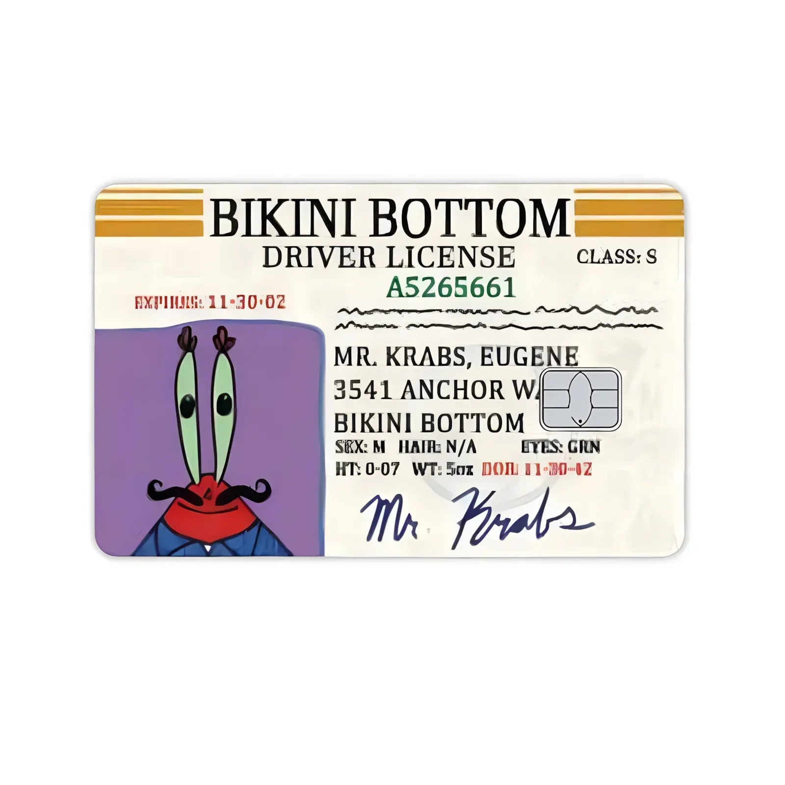 SpongeBob Name Card Stickers - Image 7