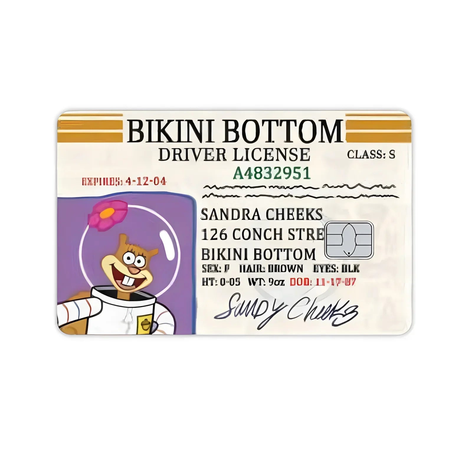 SpongeBob Name Card Stickers - Image 6